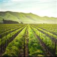 Update of the Italian national agro-meteorological network
