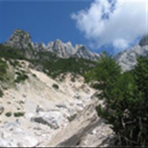CAE MONITORING AND EARLY SYSTEM TO MITIGATE THE EFFECTS OF DEBRIS FLOW AT BORCA DI CADORE, VENETO REGION