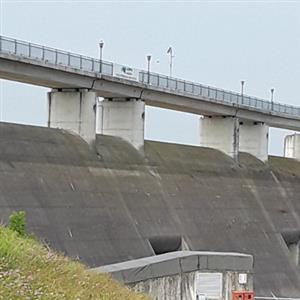 Obras de defensa e intervenciones estructurales: nuevas tecnologías en la caja de expasión del Torrente Parma