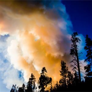 Tecnología de monitoreo de incendios forestales