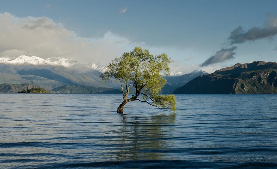 Prevision y conrol de inundaciones