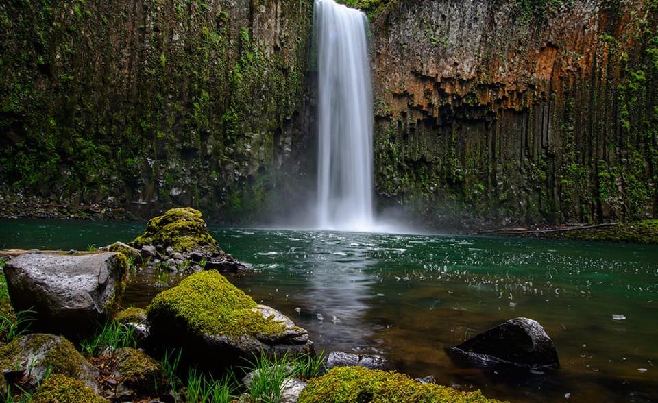 Pollution of surface water