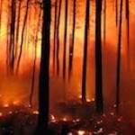 Incendi boschivi: la parola d'ordine è prevenzione