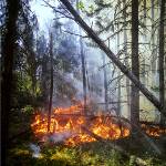 SOS incendi: meglio prevenire che curare, la soluzione di CAE