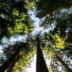 Con Ispra per comprendere lo stato dell’ambiente