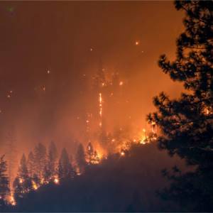 Mitigazione del rischio per incendi boschivi: il punto sulle risorse a disposizione