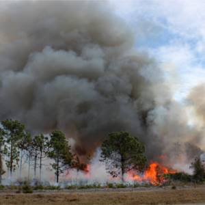 Priorità: prevenzione incendi