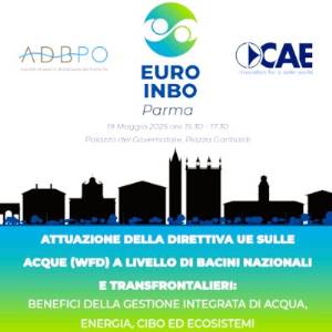 Italian and international river basin authorities compared