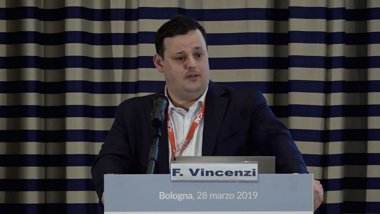 Relazione Vincenzi Convegno 28 marzo