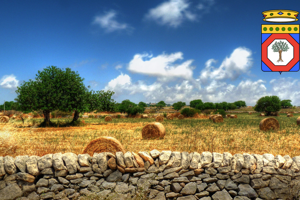 Apulia: new automatic system for detection and warning of fire outbreaks