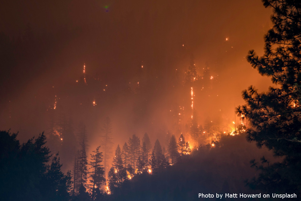 Mitigazione del rischio per incendi boschivi: il punto sulle risorse a disposizione