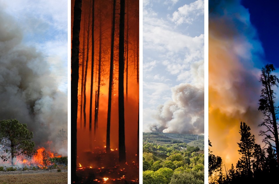 Priorità: prevenzione incendi