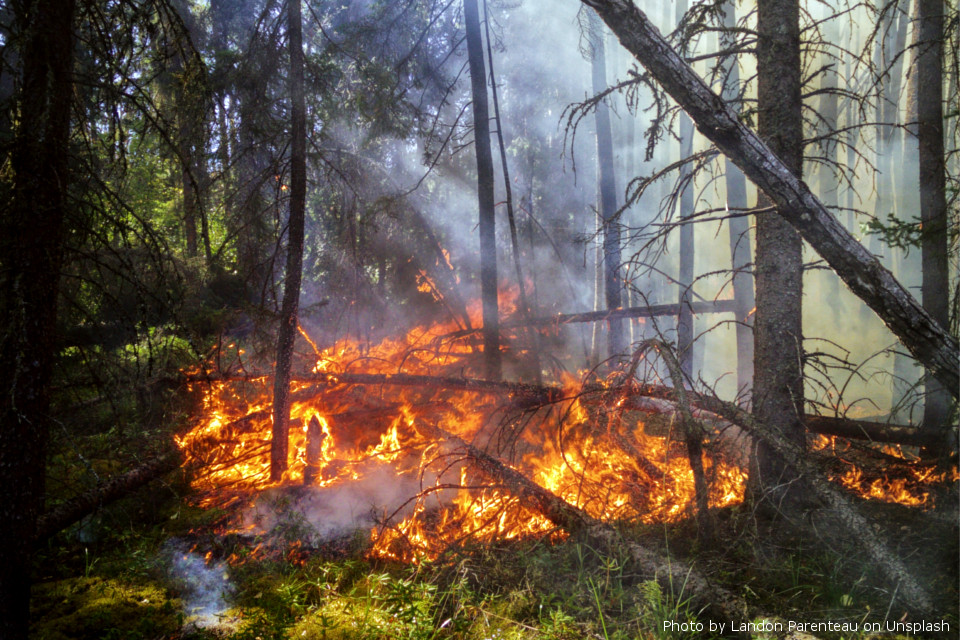 SOS incendi: meglio prevenire che curare, la soluzione di CAE