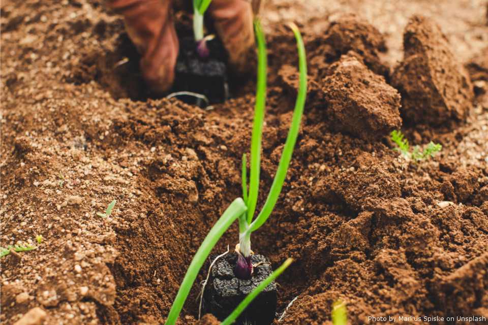 Emilia-Romagna: the new agro-meteorological network is open hardware